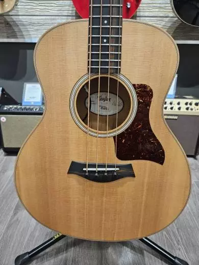 Taylor Guitars - GS MINI-E MBSV1 2