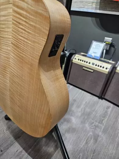 Taylor Guitars - GS MINI-E MBSV1 2