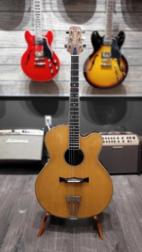 Takamine J15E MIJ