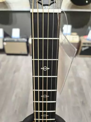 Taylor Guitars - 224CE-K DLX 2