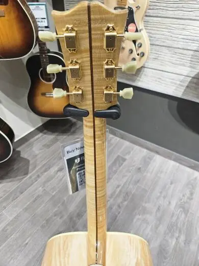 Gibson - ACO20ANGH 2