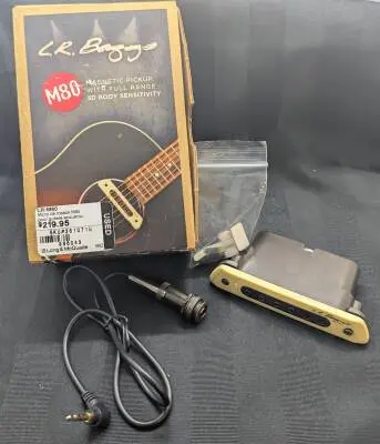 L.R Baggs - LR-M80