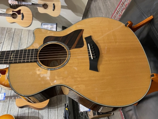 Taylor Guitars - 614CE STD 2