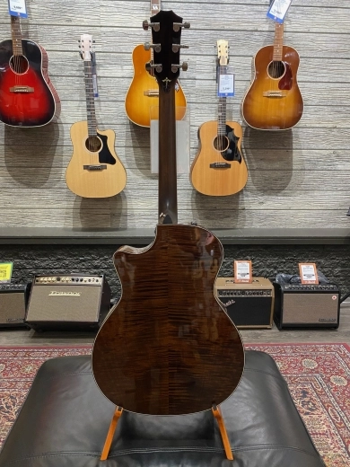 Taylor Guitars - 614CE STD 2