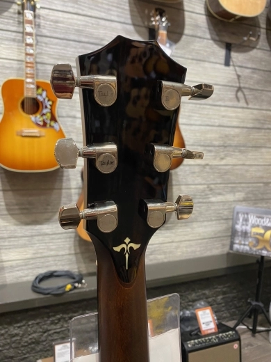 Taylor Guitars - 614CE STD 2