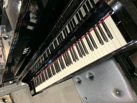LX-17 Digital Piano - Polished Ebony w/ Stand & Bench 2