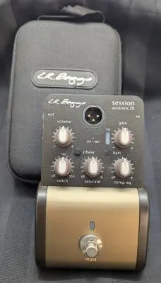 L.R Baggs - LR-SESSIONDI 2