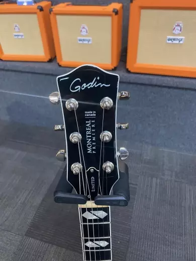 Godin Guitars - G42555 2