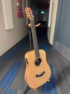 Taylor Guitars - BT1E V1 2