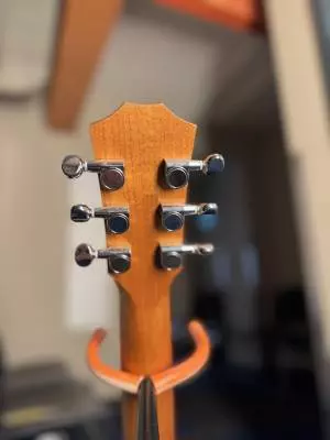 Taylor Guitars - BT1E V1 2