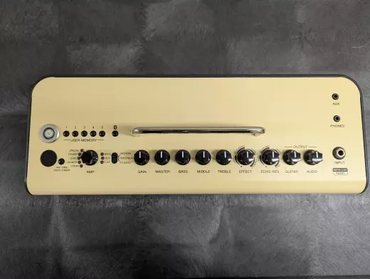 Yamaha - THR30IIWL 4