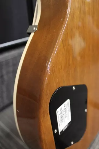 Gibson - LPS500OXNH 5