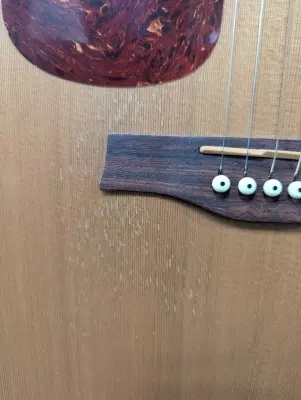 Seagull Guitars - S52004 6
