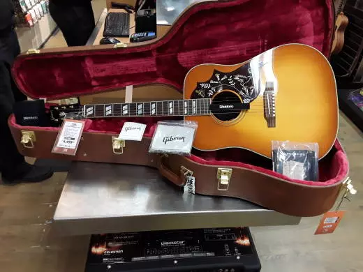 Gibson - ACOHBHCGH