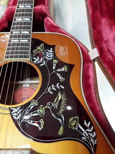 Gibson - ACOHBHCGH 2