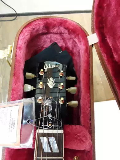 Gibson - ACOHBHCGH 2