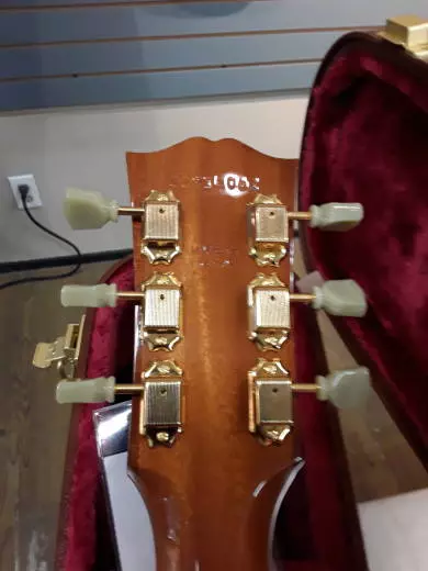 Gibson - ACOHBHCGH 2