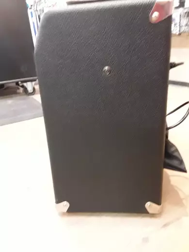Fender Stage 1000 2