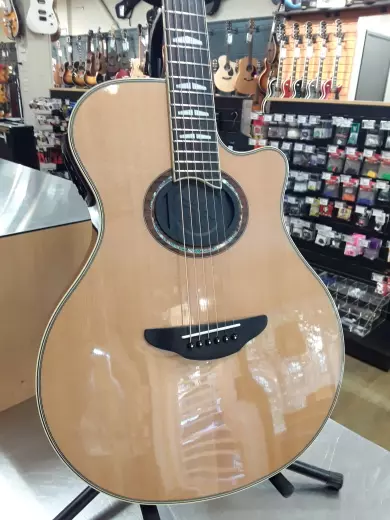 Yamaha - APX1000 NT 2