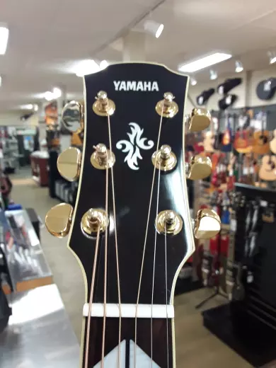 Yamaha - APX1000 NT 2