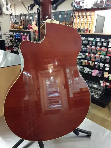 Yamaha - APX1000 NT 2