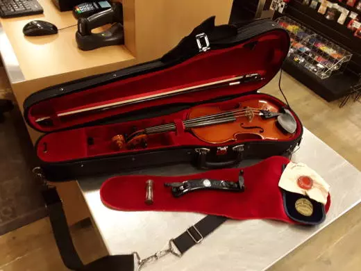 Eastman Strings - VL80LM 4/4 OF