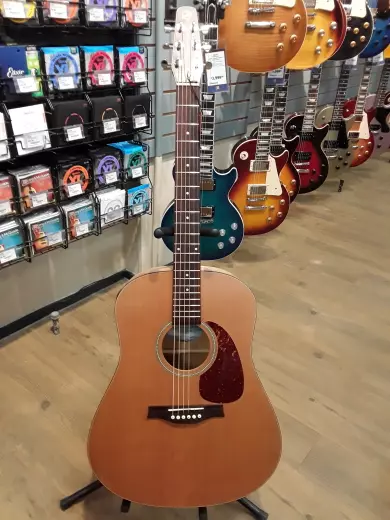 Seagull Guitars - S41237