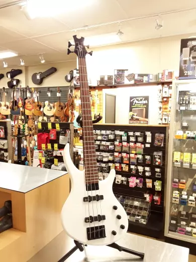 Epiphone - TBS4AWBH