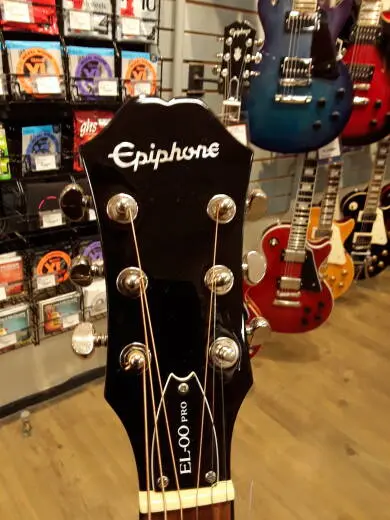 Epiphone - EEL0VSNH 2