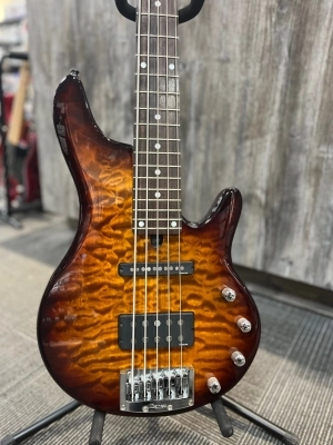 IBANEZ ROADGEAR 5-string
