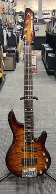 IBANEZ ROADGEAR 5-string 2