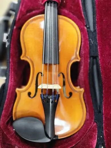 Eastman Strings - VL80LM 1/32 OF 2