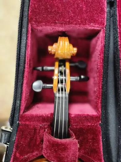 Eastman Strings - VL80LM 1/32 OF 2