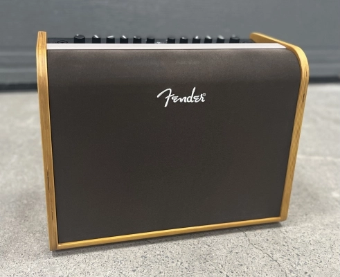 Fender Acoustic 100 Portable Guitar Amp 2