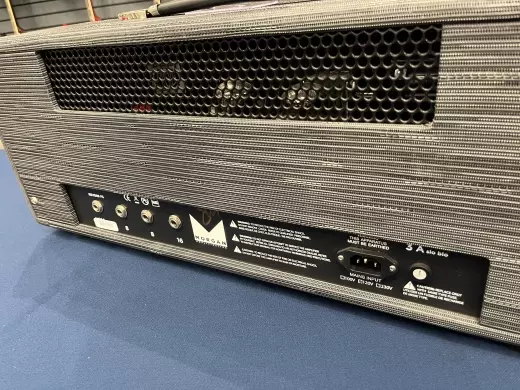 Morgan SW50R amp 2
