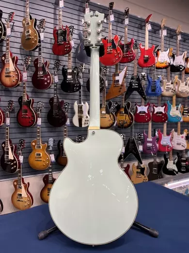 D'angelico Deluxe SS Deluxe Sage limited 2