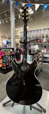Sire Larry Carlton H7 2