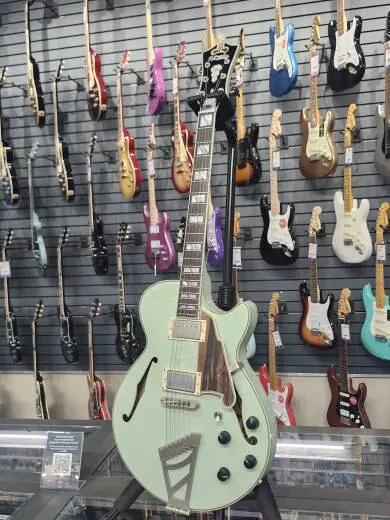 D'Angelico Deluxe SS Sage Limited Edition