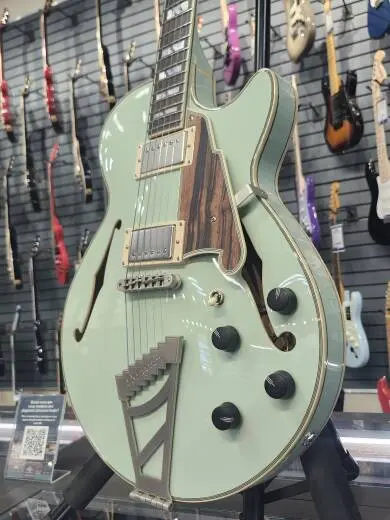 D'Angelico Deluxe SS Sage Limited Edition 2