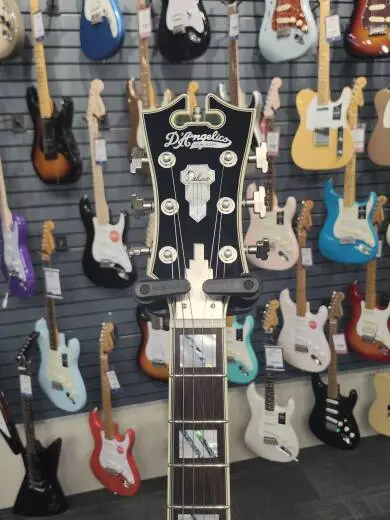 D'Angelico Deluxe SS Sage Limited Edition 2