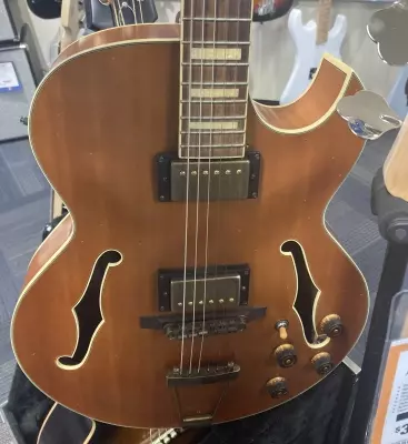 IBANEZ ARTCORE EXP VINTAGE DARK AMB LG