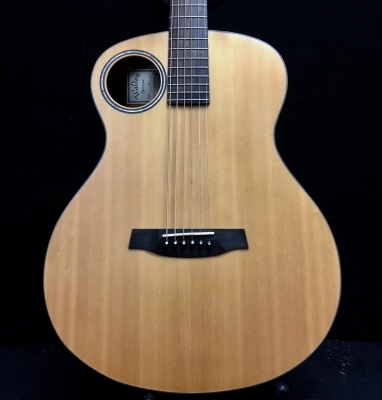Walden B-1 Baritone