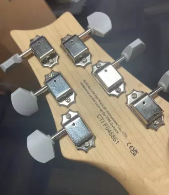 PRS Guitars - SILVER SKY 2