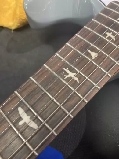 PRS Guitars - SILVER SKY 2