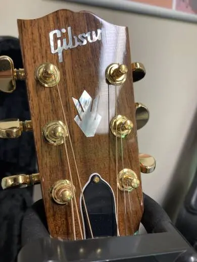 Gibson - ACSDC19ANGH 2