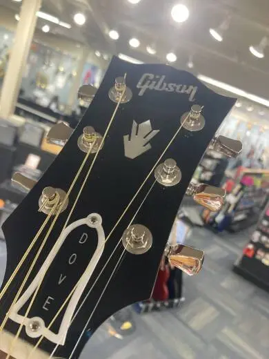 Gibson - ACODOANNH 2