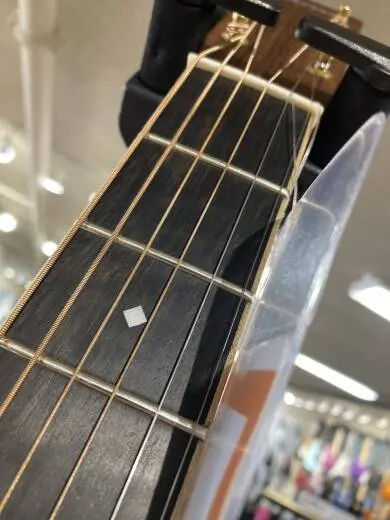 Larrivee - OM-50V 2