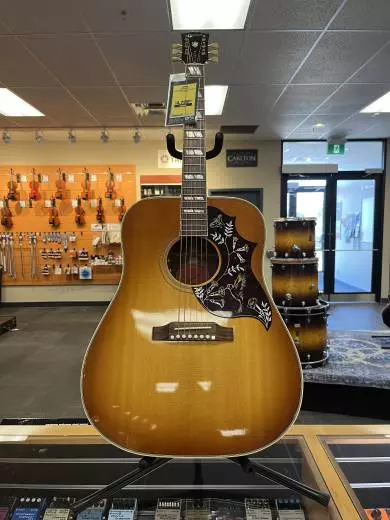 Gibson - ACOHBHCGH