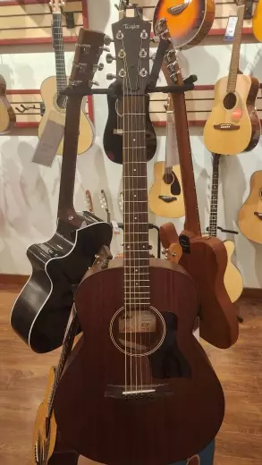 Taylor Guitars - GTE MAHOGANY