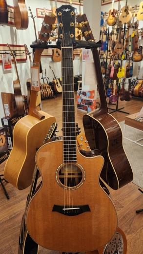 TAYLOR 2009 LTD GRAND AUDIT COCOBOLO